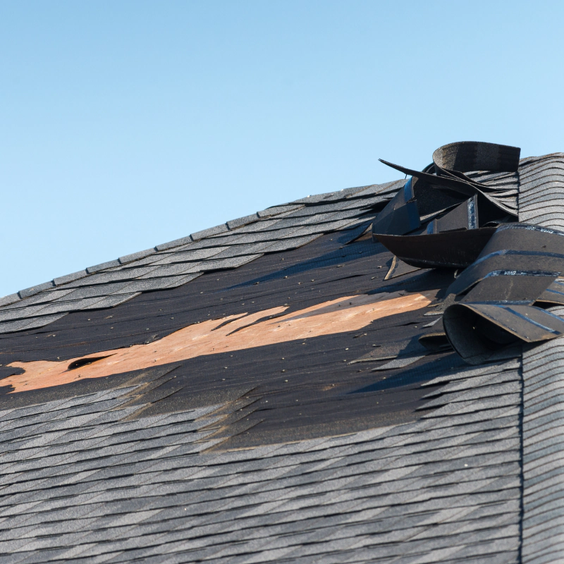 roof shingle repair